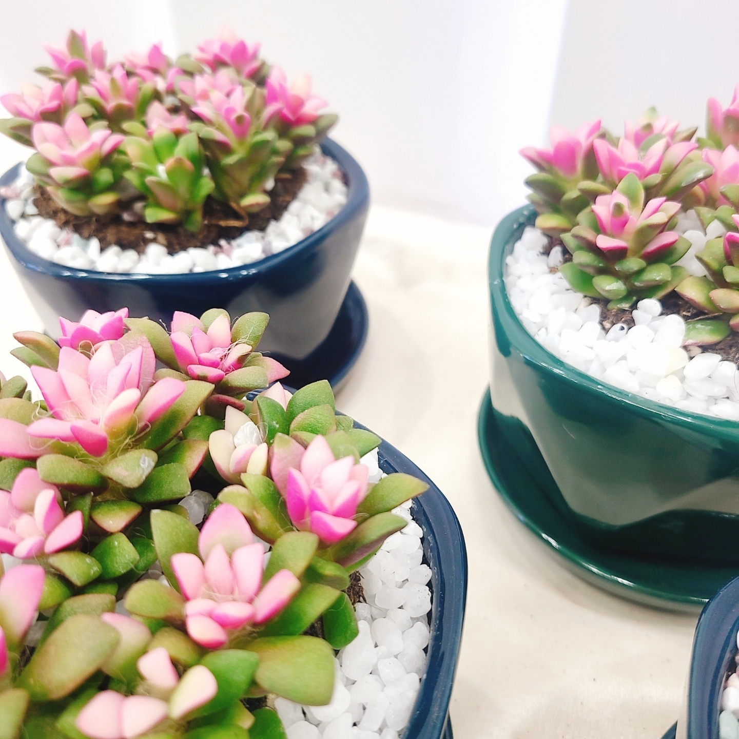 1948697120_CZyLxi9f_80037206539eccf5b5232dfce5a15bf8f339135f.jpg 이미지크게보기