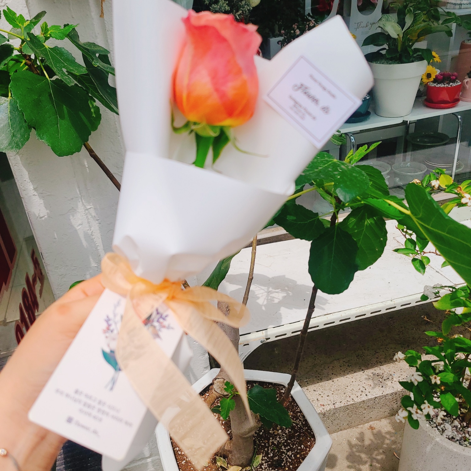 1948697120_KCOUTHtB_6c331d1c981af5da3b0429785566feeea67e7433.jpg 이미지크게보기