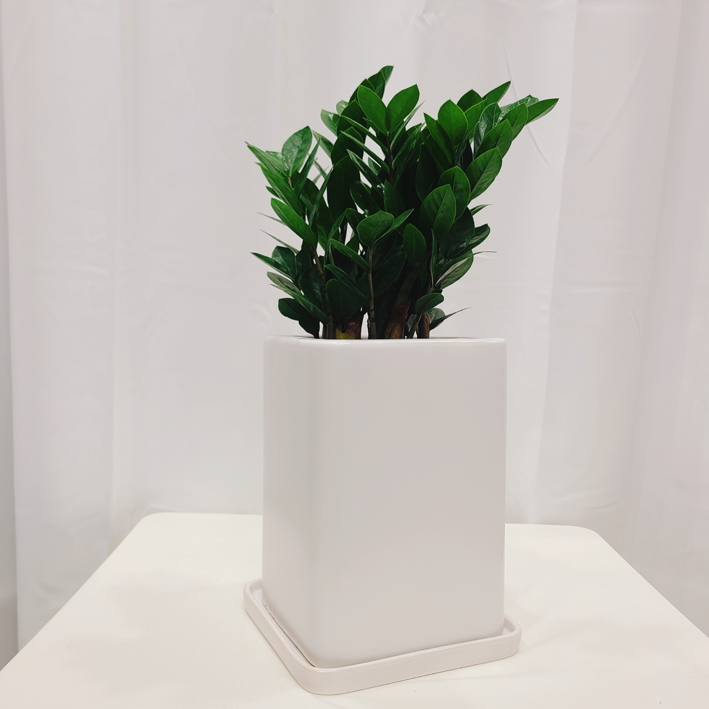 1948697120_OGkrN5ad_4f5f7e5526c05c49025d622bc908ebad7e874c25.jpg 이미지크게보기
