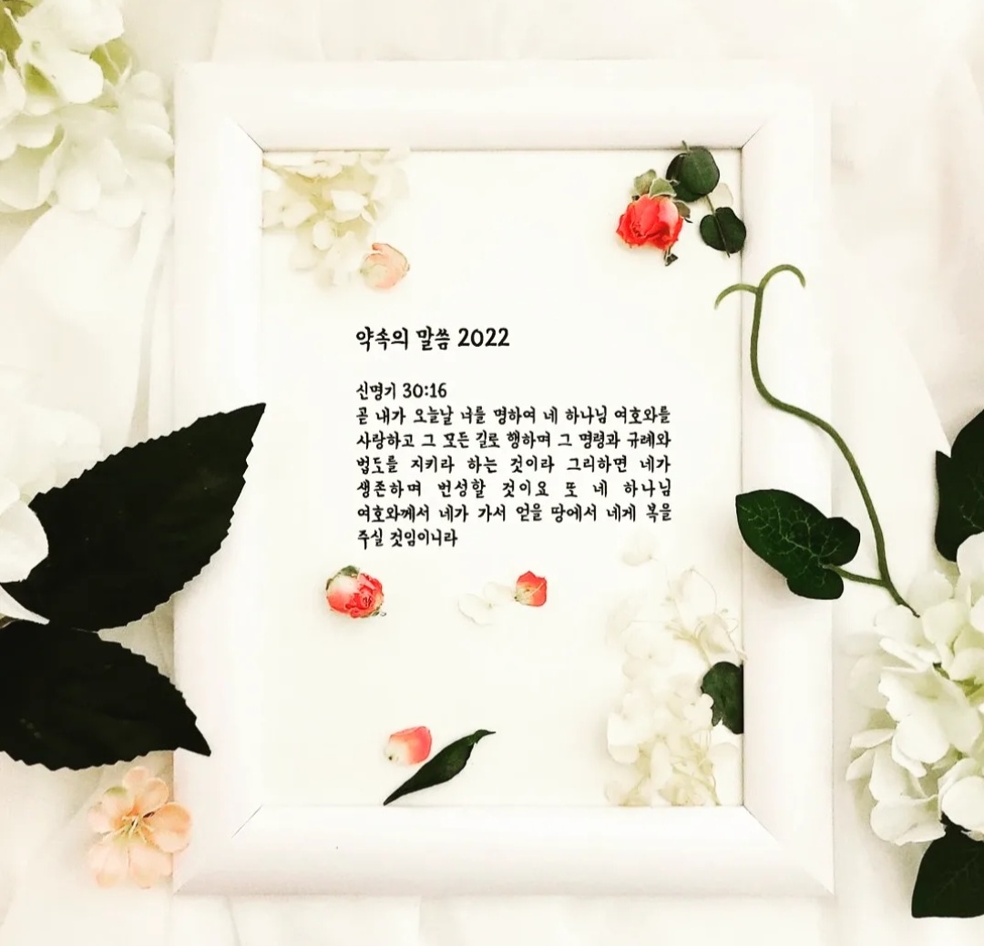 21324_copy_21332_3743830006_cPEBvD9W_7b5488b72e58186e38c40a6ea107e41c8d448c43.jpg 이미지크게보기