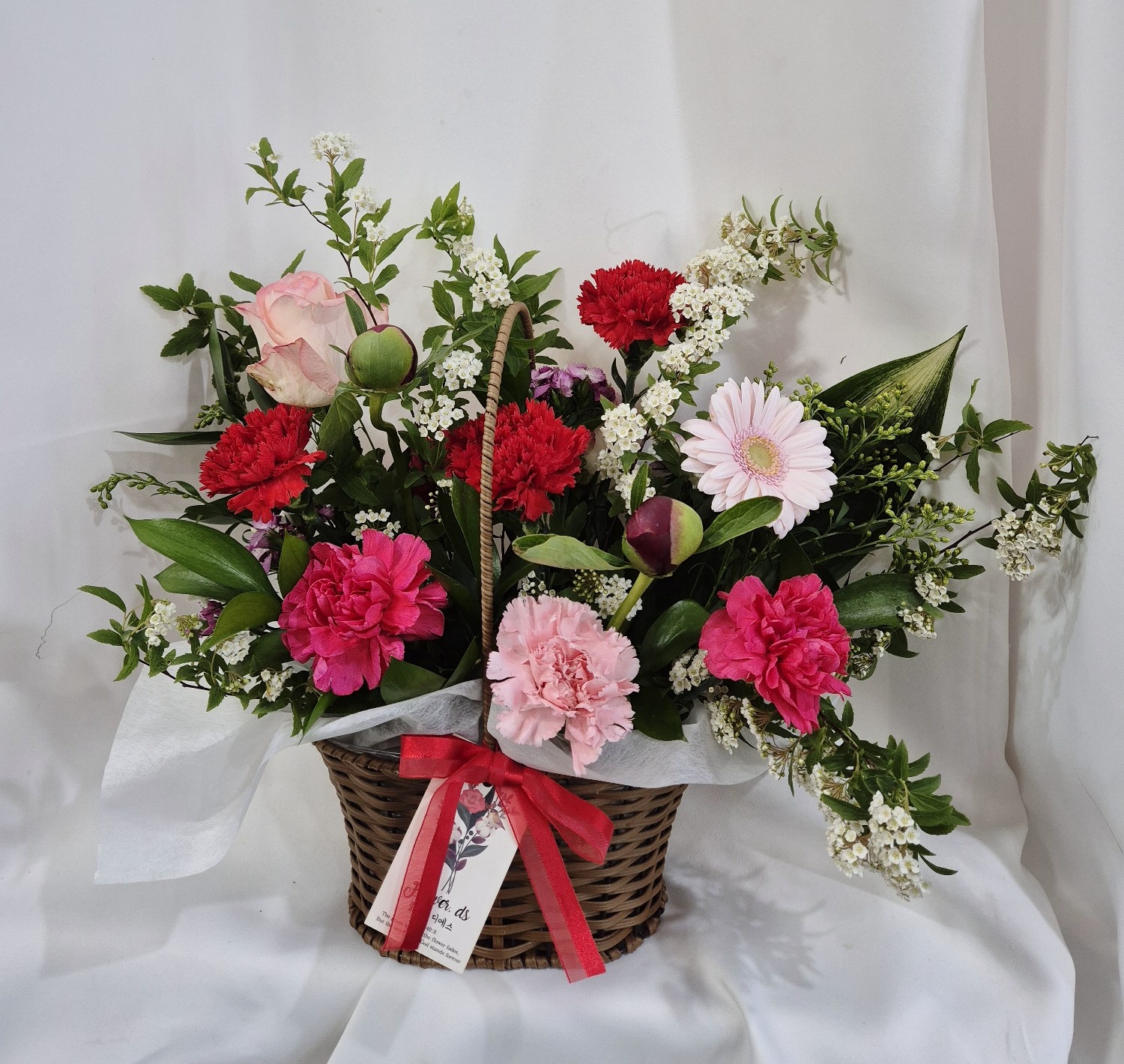 3067302113_LVRpnIrU_9c0705174ab040000fcf70b0f26bfb29e6f6d277.jpg 이미지크게보기