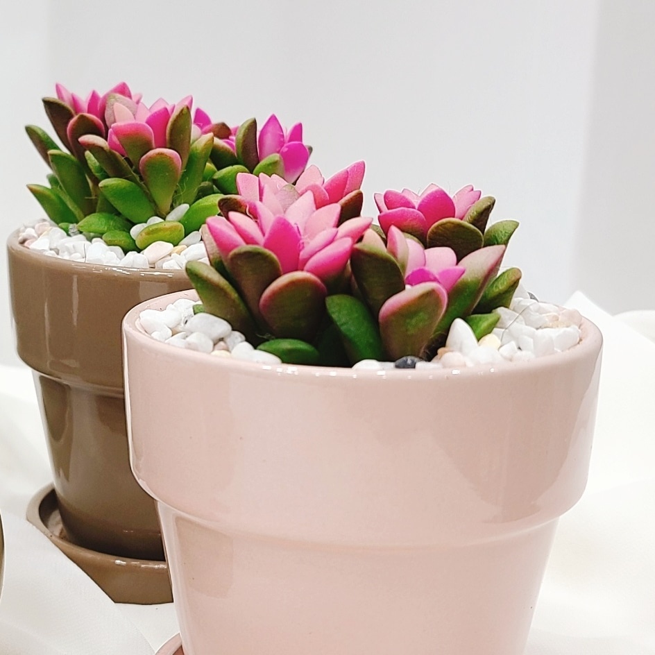3555378763_3v4jf1Vr_ad1ac9ac62a4da5e61b45fb30f4863a3e6e397b2.jpg 이미지크게보기