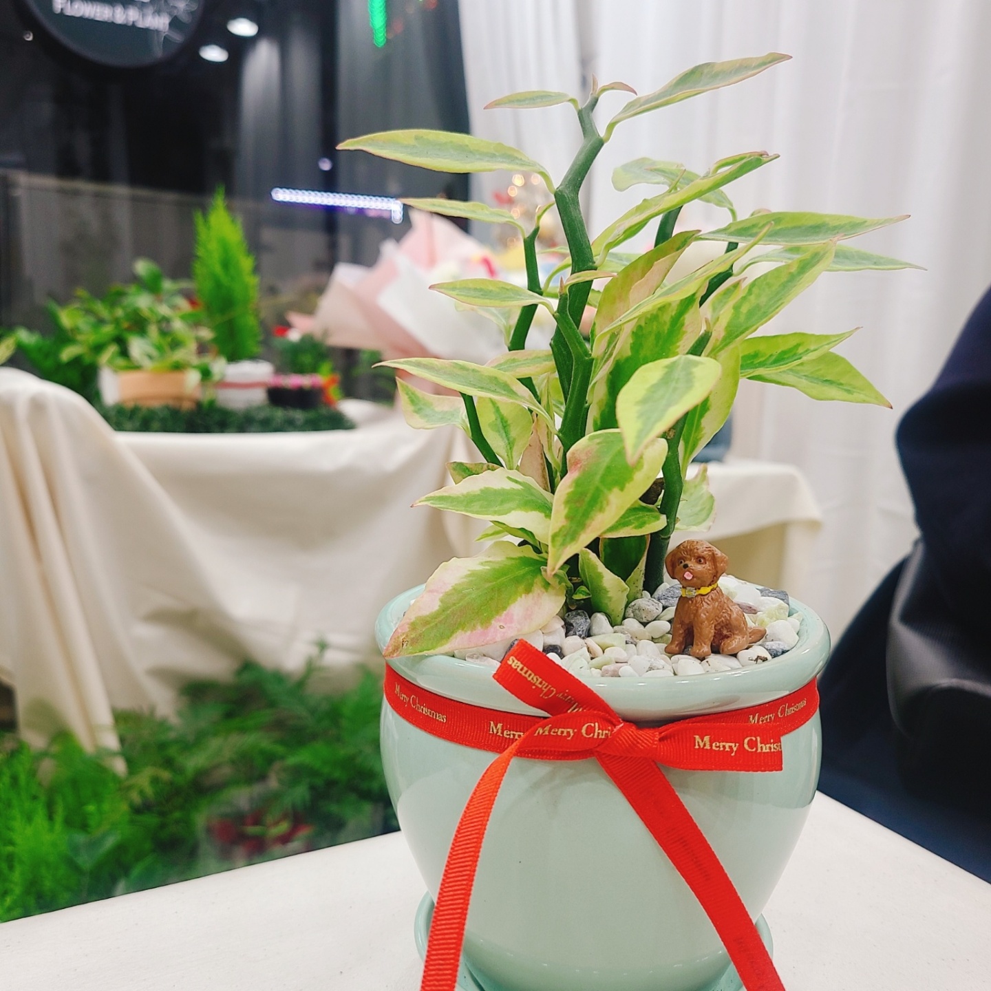 3555378763_YC3jMhxS_7eaa13e7b795427699b2699b23109189a40b5bac.jpg 이미지크게보기