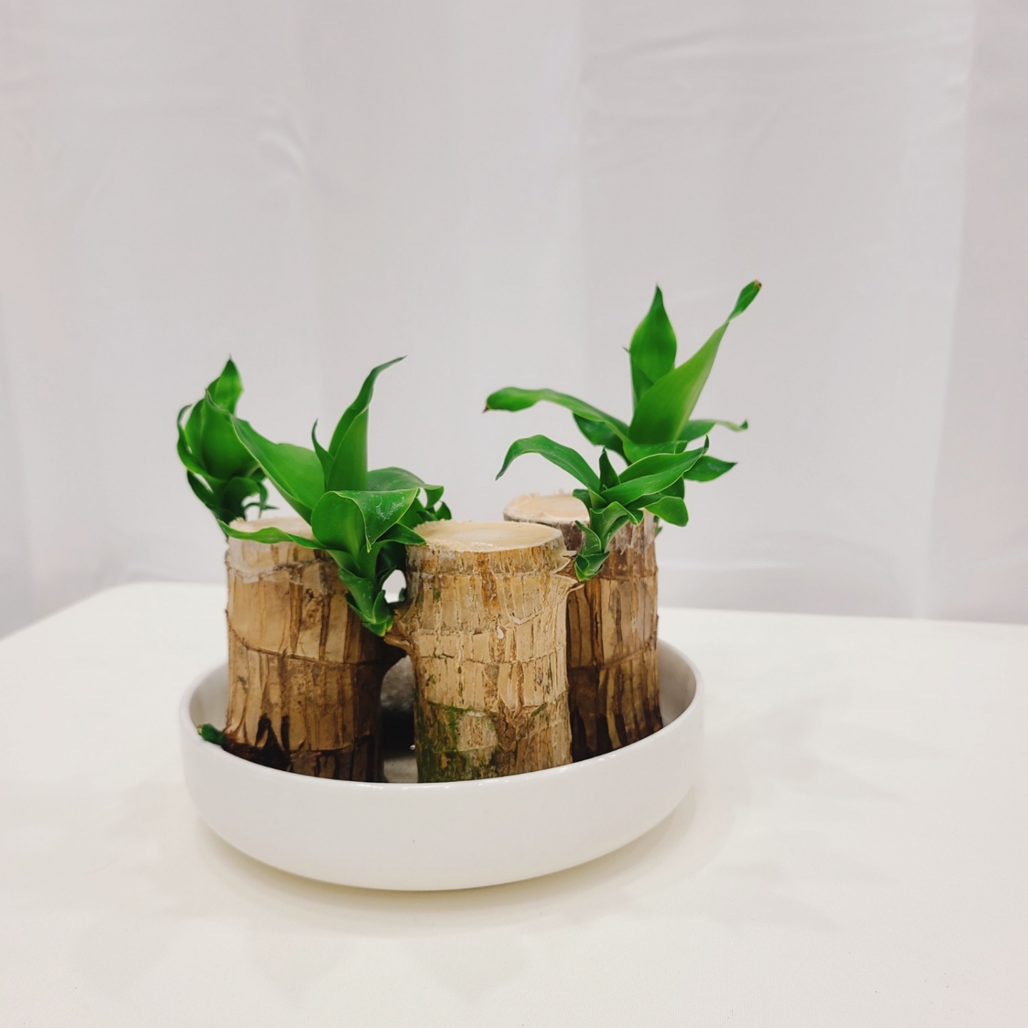3555378763_kg7dWBec_9e3c96119681e294f99f8643999ede49040744e1.jpg 이미지크게보기