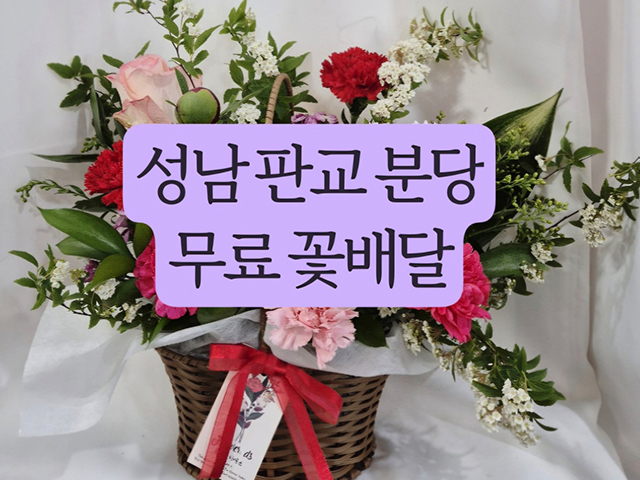 20250507092254_7bA91B4M.jpg_carousel_단대오거리꽃집_플라워디에스,캐릭터꽃다발,원데이클래스,프리저브드플라워,드라이플라워,생화,꽃다발,다육,성남꽃집,분당꽃집,중원구꽃집,중앙동꽃집